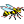 Bee icon