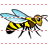 Bee icon