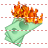 Burn money icon