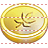 Coin icon