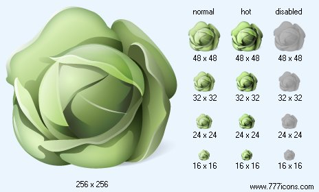 Cabbage Icon Images