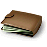 Wallet icon