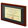 Diploma icon