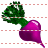 Radish icon