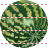 Water-melon icon