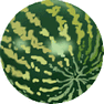 Water-Melon icon