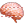 Brain icon