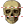 Skull icon