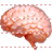 Brain icon