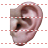 Ear icon