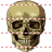 Skull icon