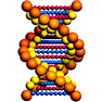 DNA icon