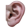 Ear icon