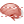 Brain SH icon