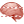 Brain icon