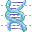 DNA icon