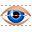 Eye icon