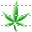 Hemp leaf icon