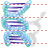 DNA SH icon