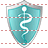 Health care shield icon