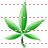 Hemp leaf icon