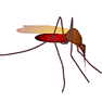 Mosquito icon