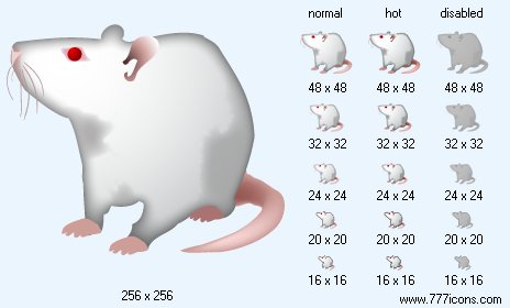 Rat Icon Images