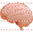 Brain icon