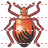 Bug icon