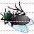 Dead fly icon