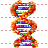 DNA icon