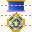 Medal icon