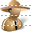 Mexican salesman SH icon