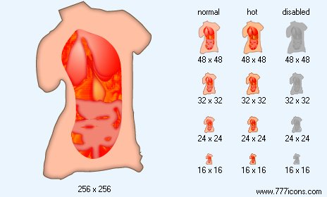 Anatomy Icon Images