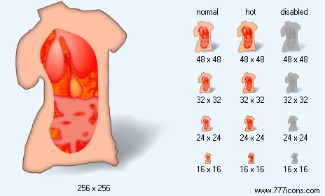 Anatomy with Shadow Icon Images