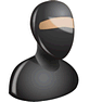 Ninja icon