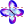 Butterfly icon