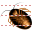 African cockroach icon