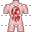 Anatomy icon