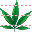 Hemp leaf icon