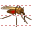 Mosquito icon