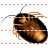 African cockroach icon