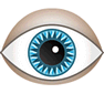 Eye icon