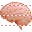 Brain icon