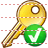 Valid key icon