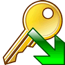 Export Key icon