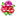 Flowers icon