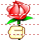 Rose icon