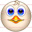 Bird icon