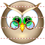 Owl icon